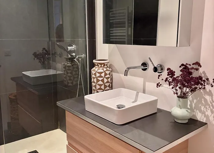 Duplex T5 Au Pied De La *